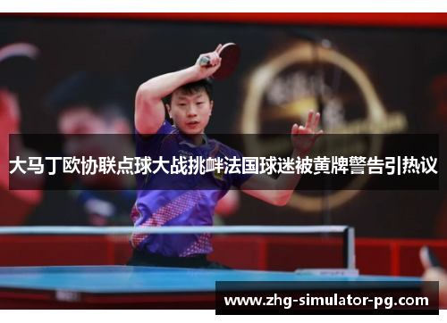 大马丁欧协联点球大战挑衅法国球迷被黄牌警告引热议